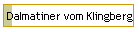 Dalmatiner vom Klingberg