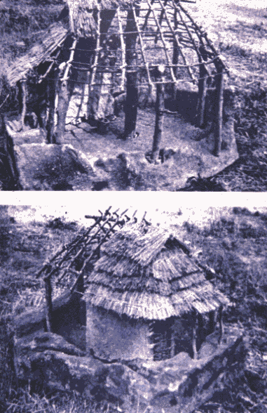 Rekonstruktion einer eisenzeitlichen
	Hütte