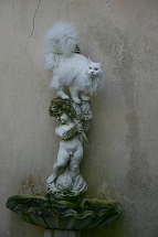 Kielmoor Maine Coon Cattery - Maine Coon Züchter in Ostfriesland Leer