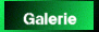 Hier geht es zur Fotogalerie