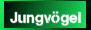 Jungv�gel