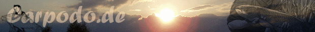 Visit This Site