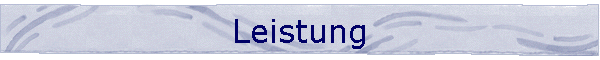 Leistung