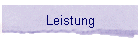 Leistung