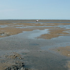 Ostfriesland