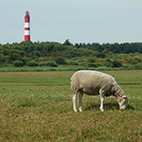 Ostfriesland