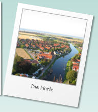 Die Harle