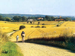 Mecklenburg