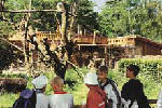 Zoo Rostock