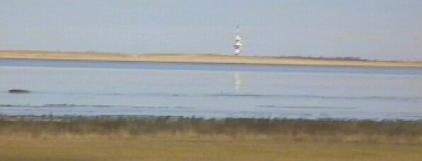 Minser Olloog - heute