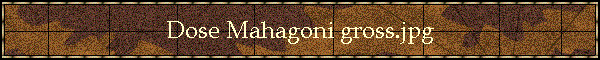 Dose Mahagoni gross.jpg