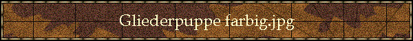 Gliederpuppe farbig.jpg