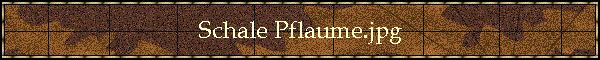 Schale Pflaume.jpg