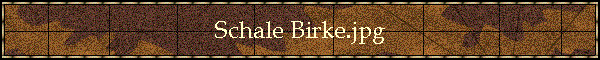 Schale Birke.jpg