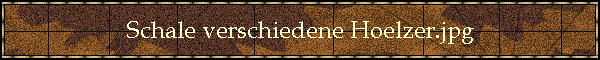 Schale verschiedene Hoelzer.jpg