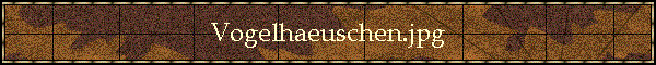 Vogelhaeuschen.jpg