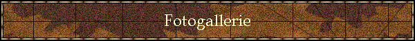 Fotogallerie