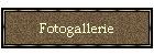 Fotogallerie