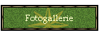 Fotogallerie