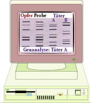 Analyseergebnis