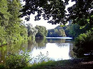 Ellernteich