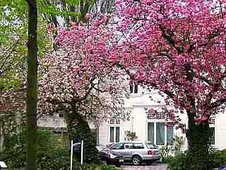 Hauptgesch&auml;ftsstra&szlig;e