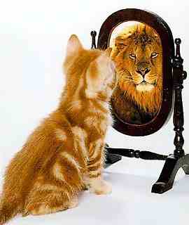 Spieglein, Spieglein...