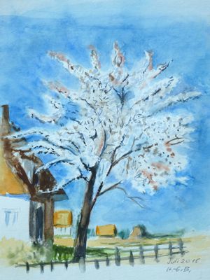 Baumbüte