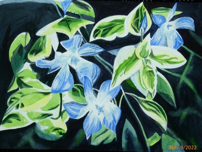 Blume_blau