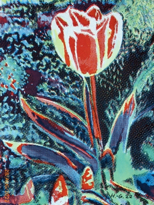 Tulpe_Siebdruck