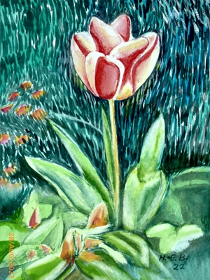 Tulpe gemalt