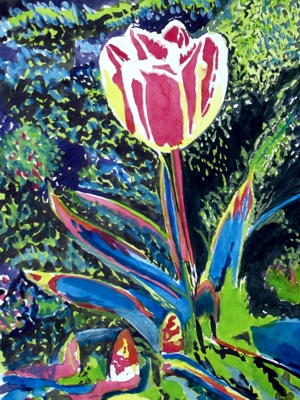 Tulpe_technik
