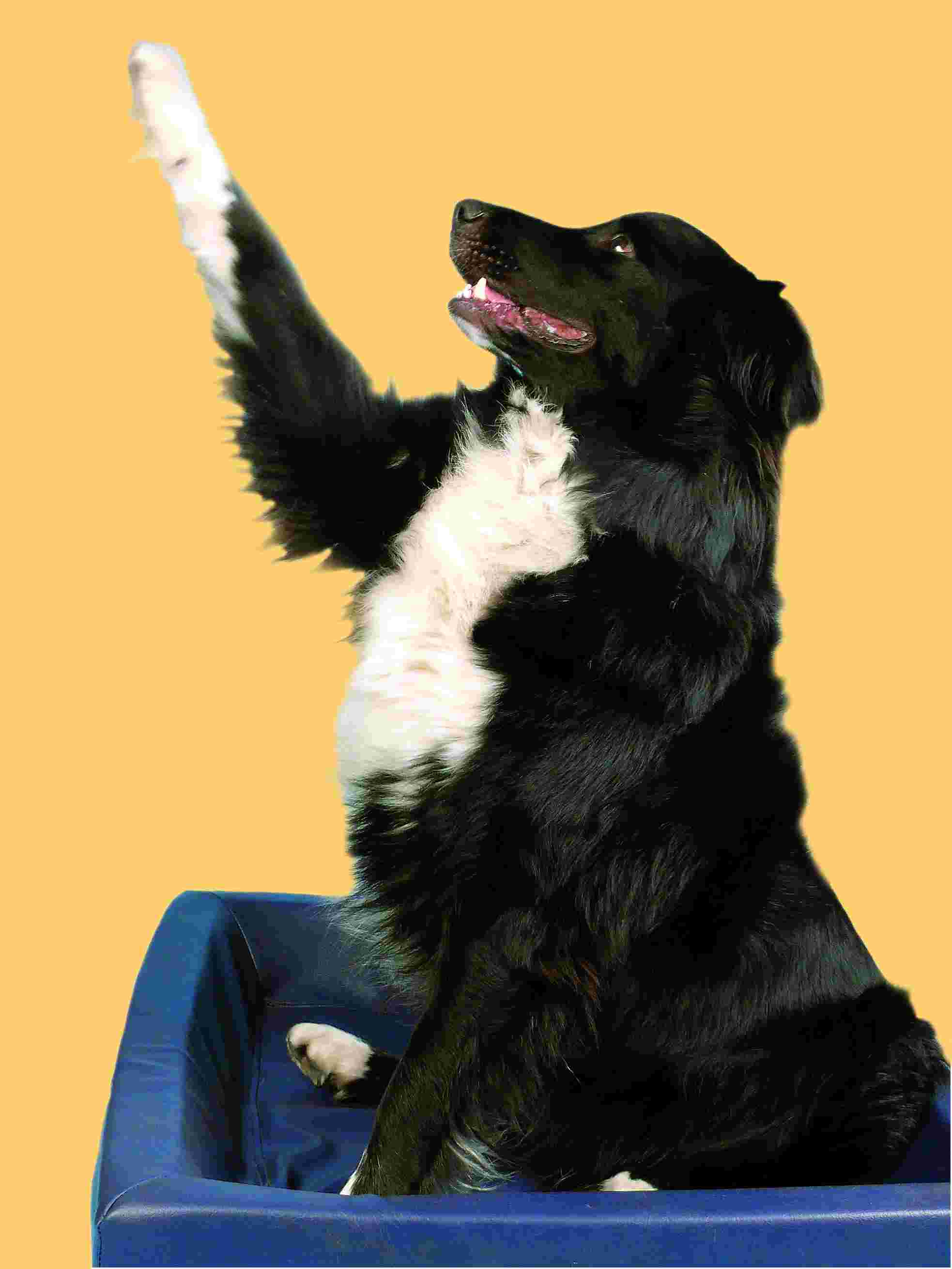 Theodor
