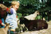 tierp1.jpg (68083 Byte)