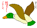 Ente / Duck