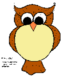 Eule / Owl