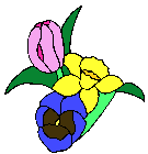 Frühlingssblumen/Springflowers