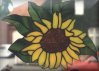 Sonnenblume / Sunflower