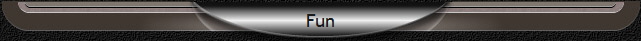 Fun