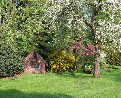 Backhaus