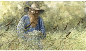 Tom Bombadil