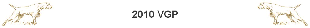 2010 VGP