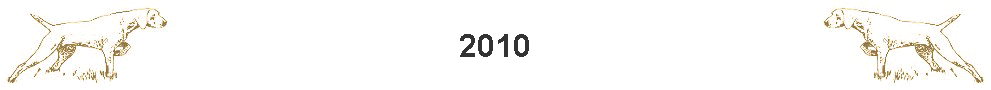 2010