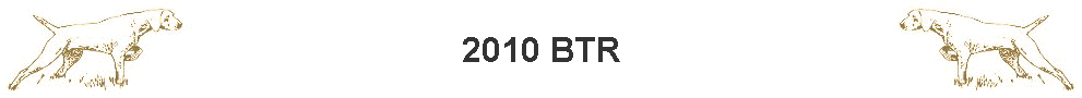 2010 BTR