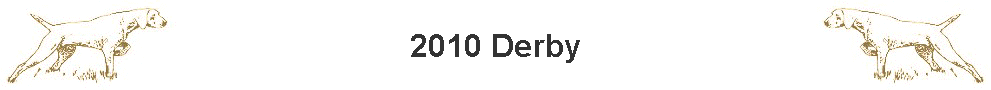 2010 Derby