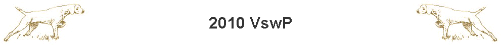 2010 VswP