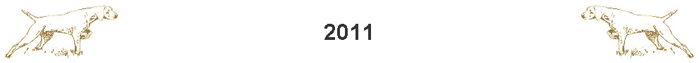 2011