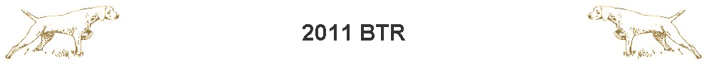2011 BTR