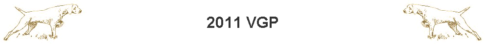 2011 VGP