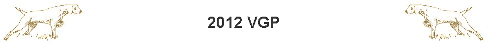 2012 VGP